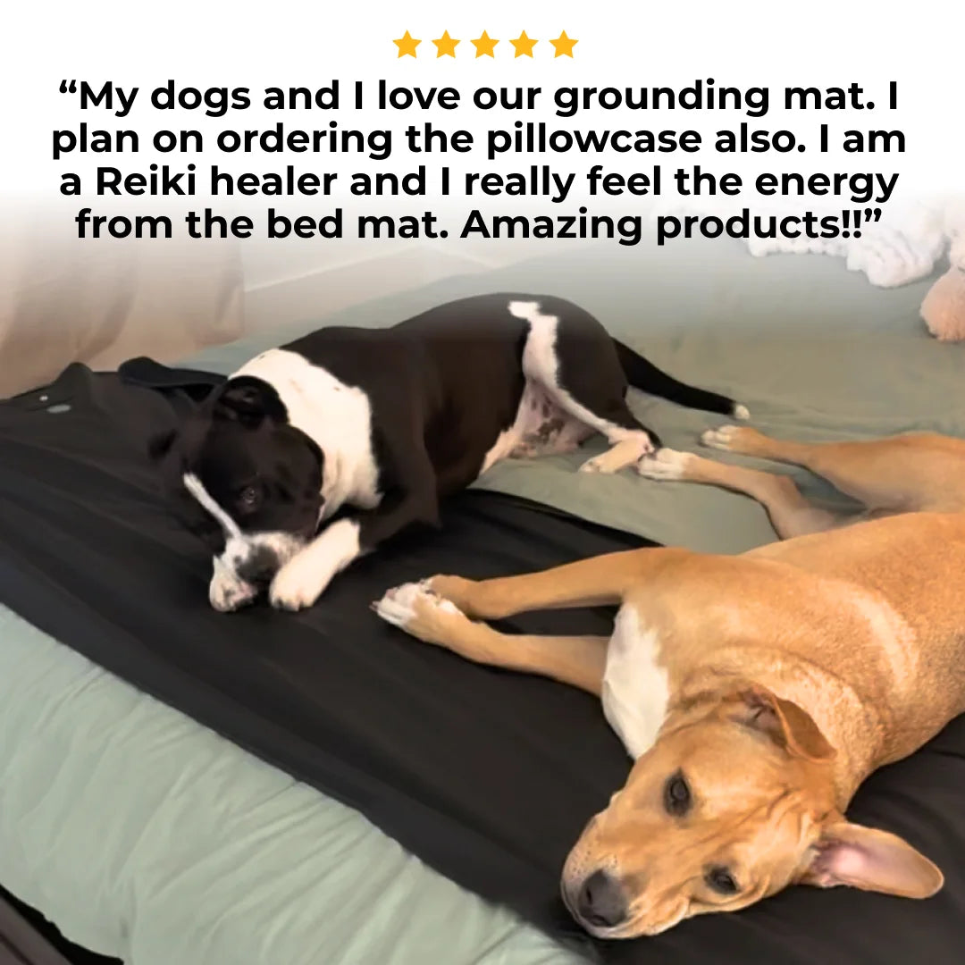 Earthing & Grounding Mat for Bed